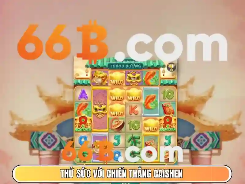 Cung cấp sản phẩm và dịch vụ: 66b web trong ứng dụng thực tế