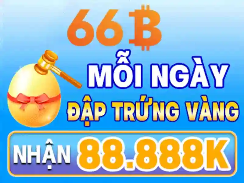 Trải nghiệm người dùng và phản hồi từ cộng đồng