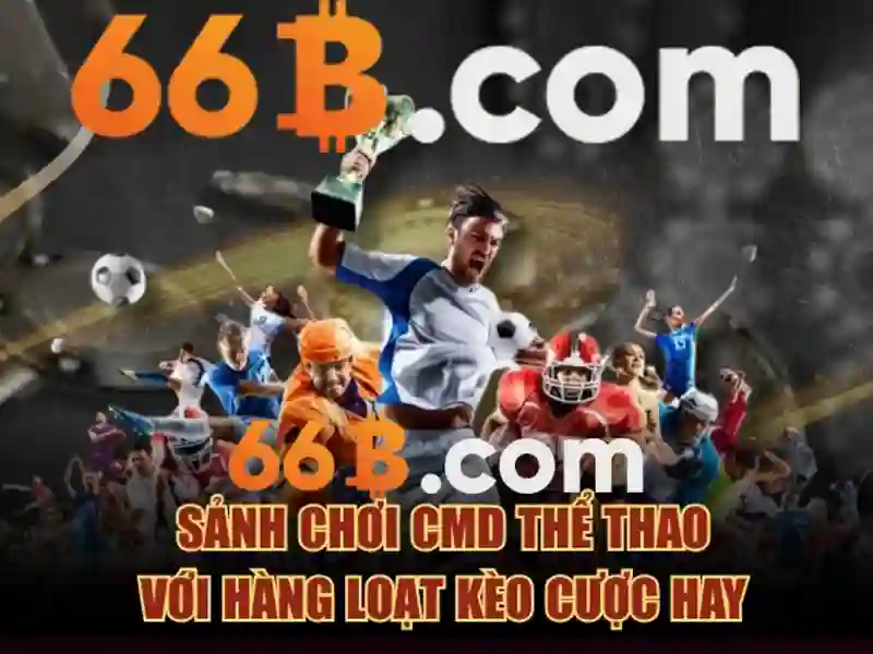 Bếp từ canzy cz-66b – Nền tảng nấu ăn hiện đại và an toàn