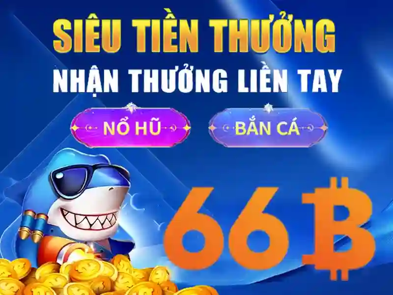 Khái niệm và ứng dụng của 66b