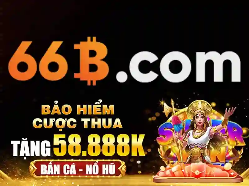 66b có giấy phép không – Trải nghiệm và phản hồi