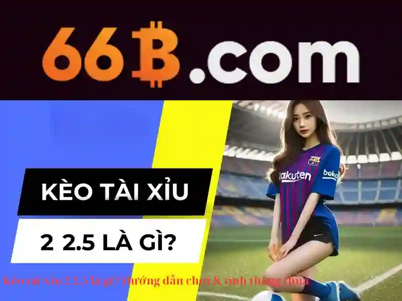 66b hoạt động bao lâu – Tương lai và tầm nhìn